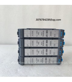  Vibro-meter  GSI127 244-127-000-017-A2-B02  Vibration monitoring module