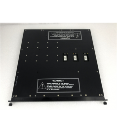 Triconex 3604E (13000) TMR Digital Output Module