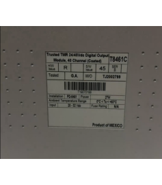 ICS TRIPLEX T8461C TMR Digital Output Module (SIS) ICS TRIPLEX T8461C TMR Digital Output Module (SIS)
