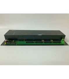 GE WESDAC D20A Analog Input Module (AI) GE WESDAC D20A Analog Input Module (AI)